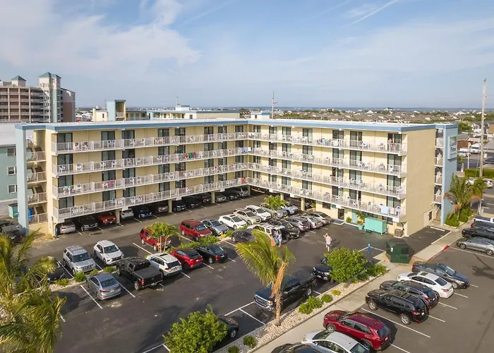 Coastal Palms And 2*