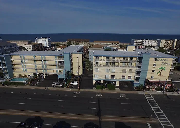 Coastal Palms And 2*