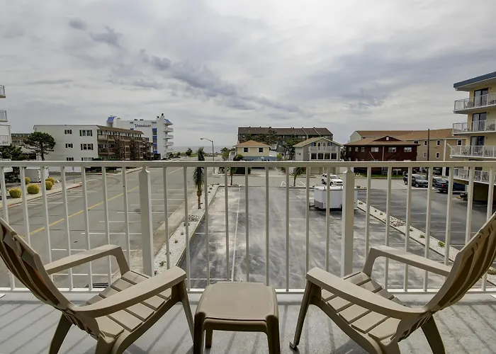 Coastal Palms And