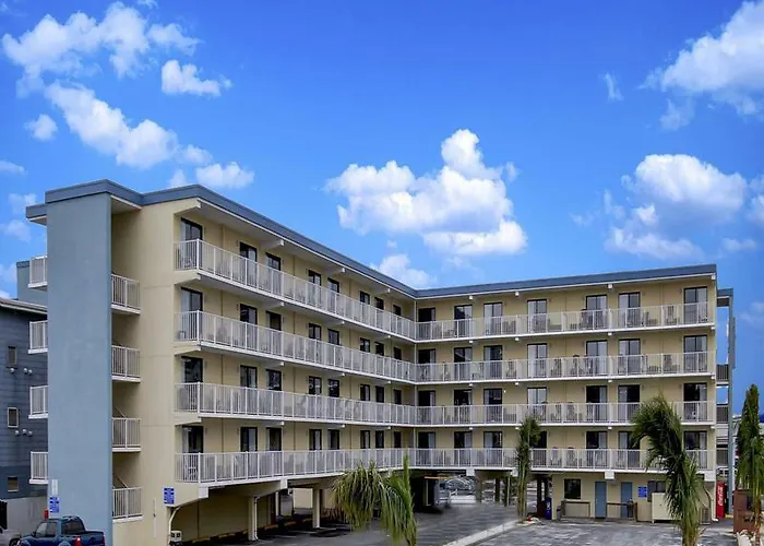 Coastal Palms And